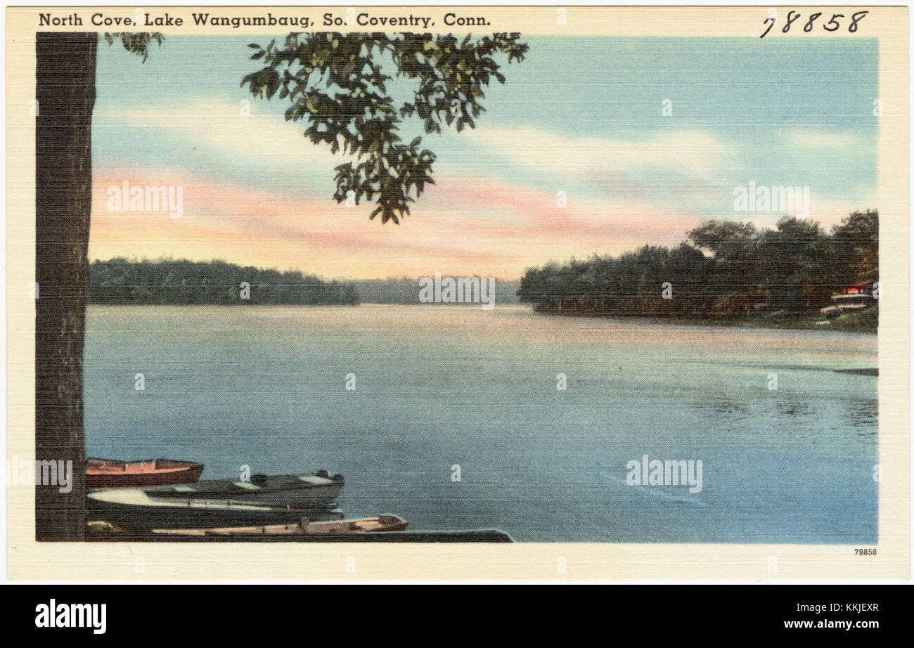 North Cove, Lake Wangumbaug, so. Coventry, Conn (78858) Foto Stock