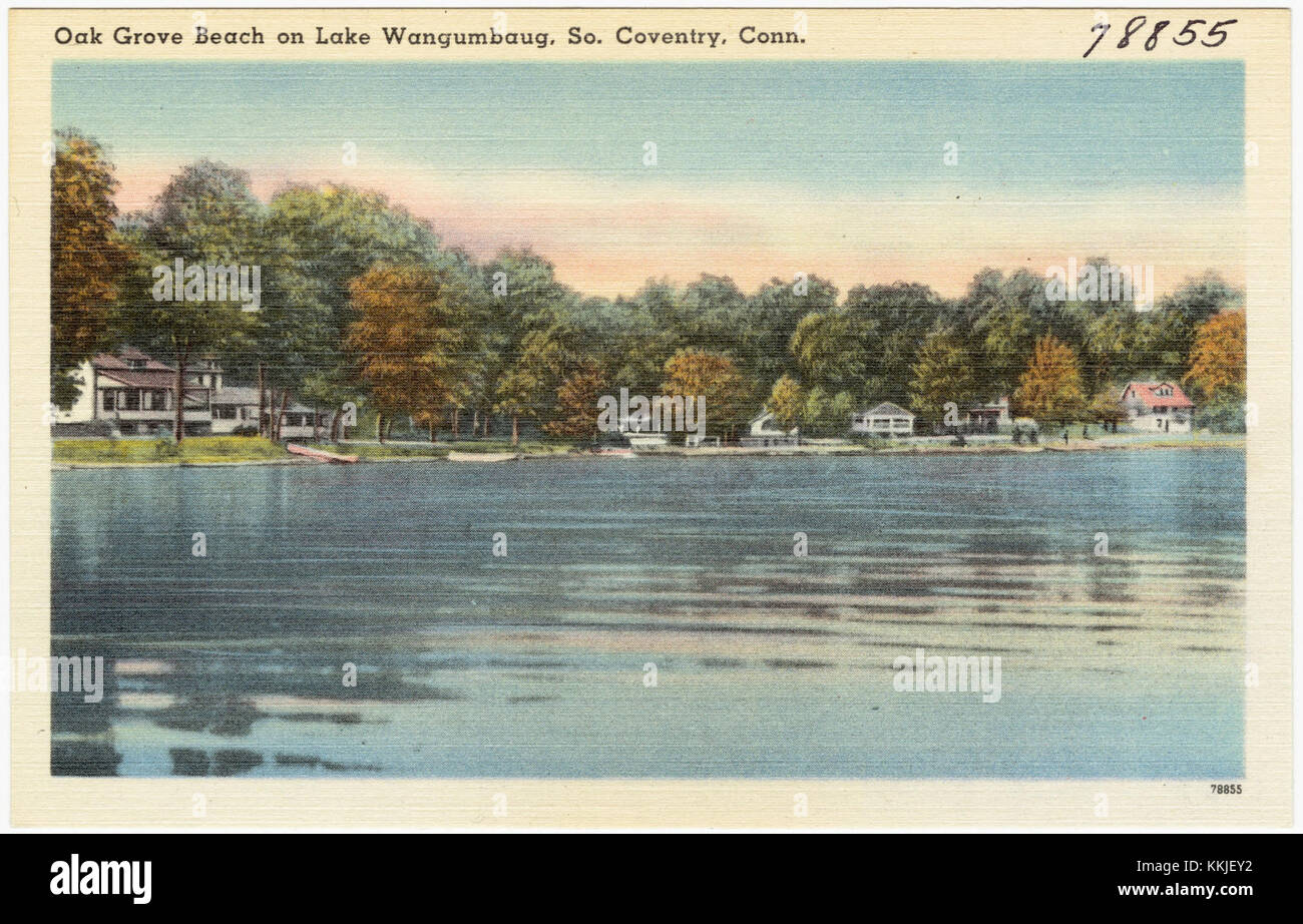 Oak Grove Beach si trova sul lago Wangumbaug a South Coventry, Connecticut. E' una popolare area ricreativa che offre nuoto, pesca e percorsi naturalistici, circondati da paesaggi panoramici. Foto Stock