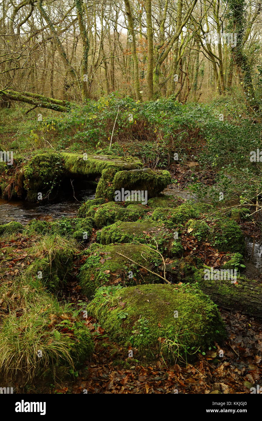 Vecchia pietra di muschio semplice battaglio ponte su un flusso di bosco, dartmoor devon, Regno Unito Foto Stock