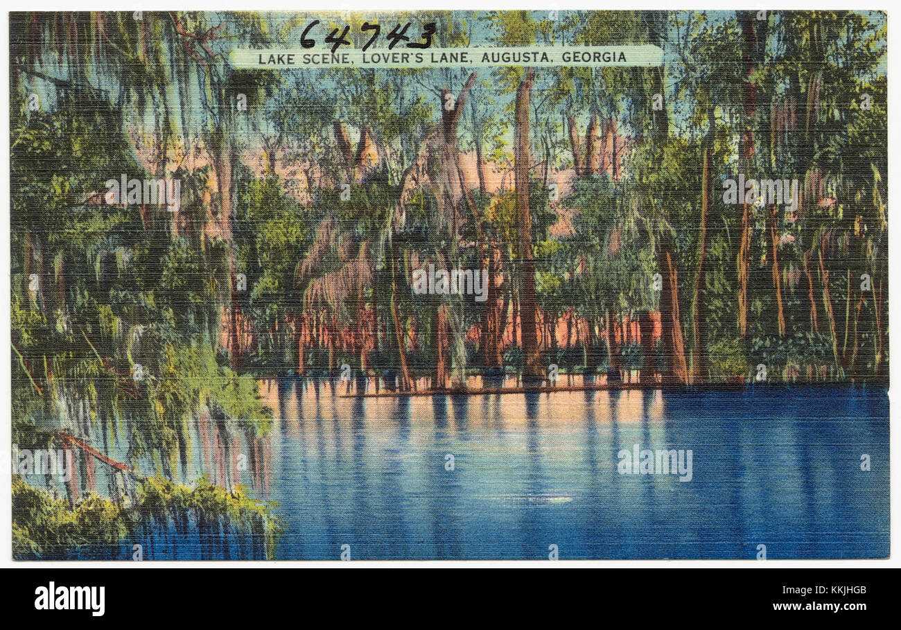 Una vista panoramica del lago a Lover's Lane ad Augusta, Georgia. Questa posizione tranquilla è un luogo popolare per gli amanti della natura e offre viste pittoresche e dintorni tranquilli. Foto Stock