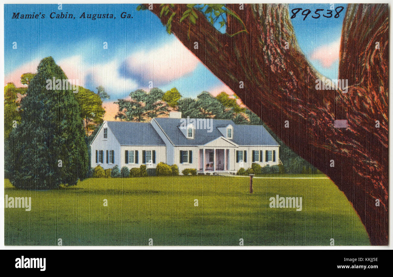 Mamie's Cabin ad Augusta, Georgia, ha un significato storico, che riflette l'architettura rurale e lo stile di vita della regione durante il XIX e l'inizio del XX secolo. La cabina rappresenta la storia e la cultura locali. Foto Stock