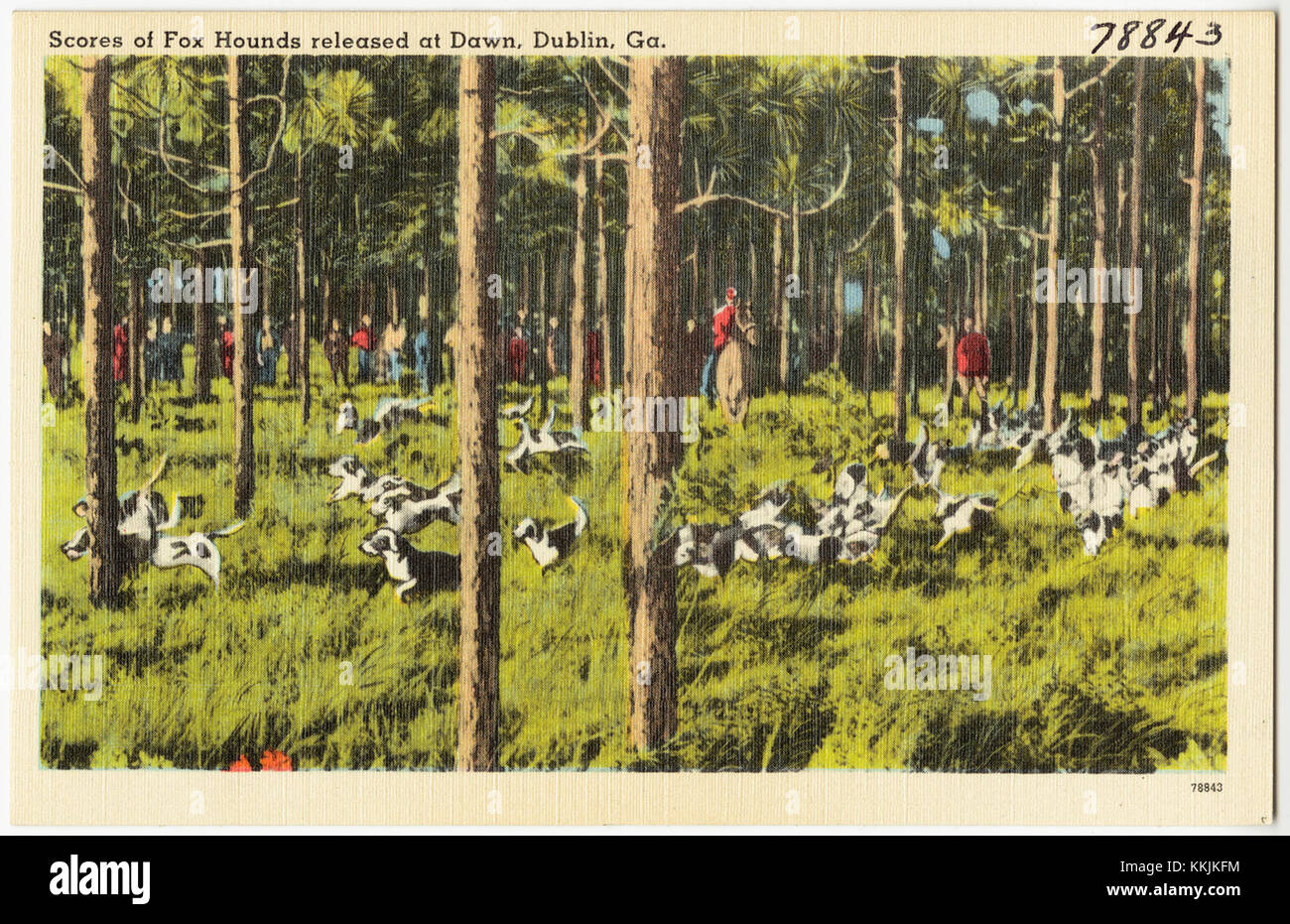 Questa fotografia di Dublino, Georgia, cattura un momento drammatico mentre decine di segugi della volpe vengono rilasciati all'alba. L'evento mette in mostra lo sport tradizionale della caccia alla volpe, un'attività rurale molto popolare nella regione. Foto Stock