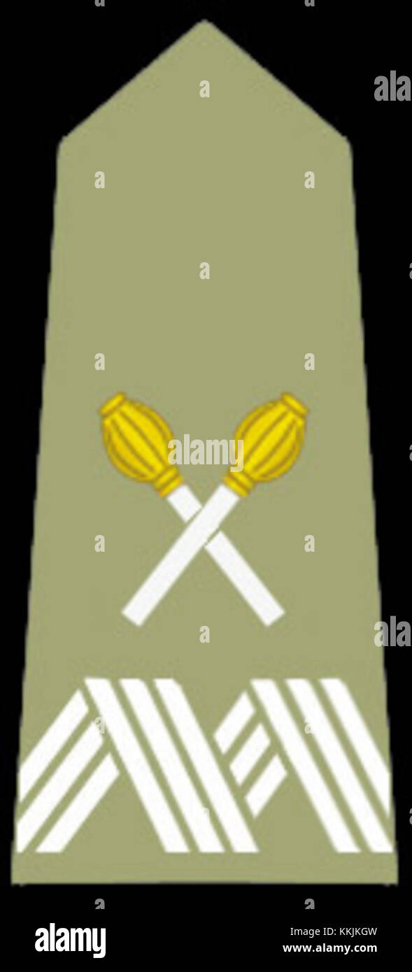 marszałek Polski Poziom si riferisce al titolo di maresciallo di Polonia, una posizione militare e politica di alto rango in Polonia. Il titolo è storicamente significativo ed è associato alla leadership delle forze militari polacche e alla direzione politica del paese. marszałek Polski Poziom rappresenta una figura chiave nella storia politica e militare della Polonia, simboleggiando la leadership nazionale. Foto Stock