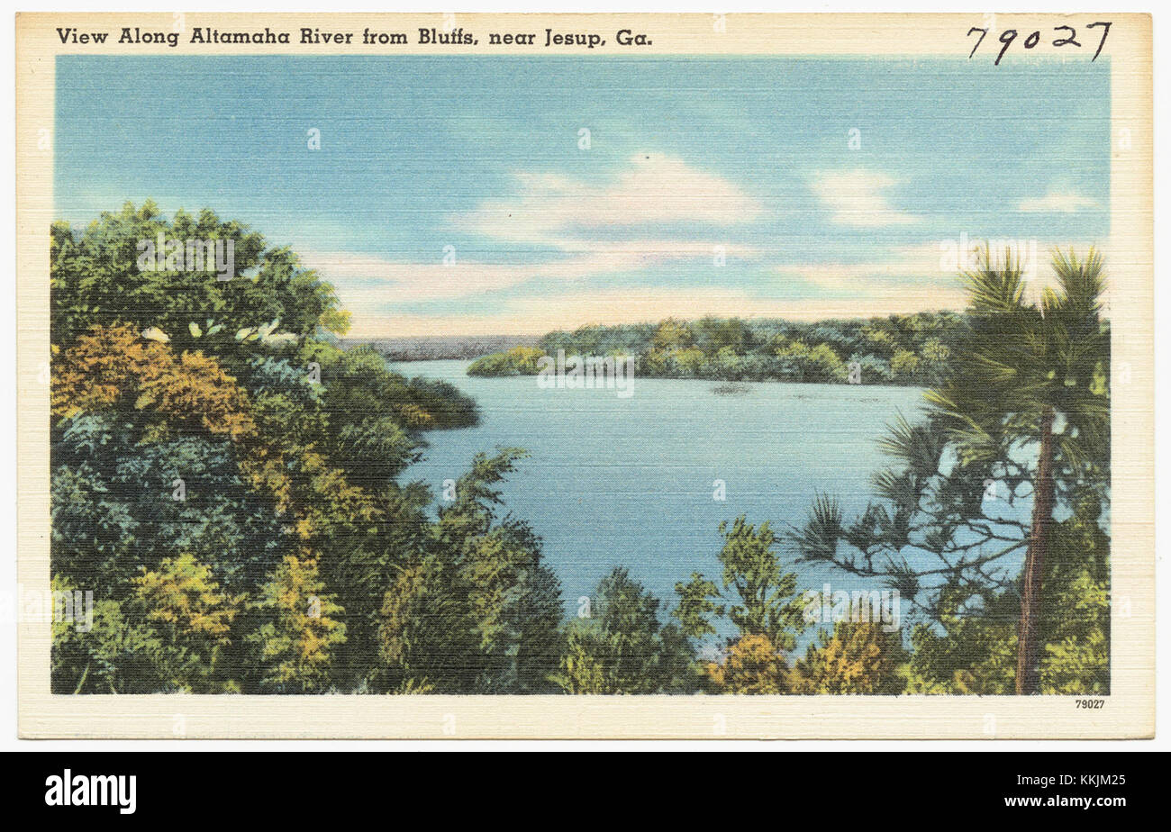 Una vista panoramica del fiume Altamaha, presa dalle scogliere vicino a Jesup, Georgia. L'immagine cattura la bellezza naturale del paesaggio fluviale e dell'ambiente circostante in questa posizione sud-orientale degli Stati Uniti. Foto Stock