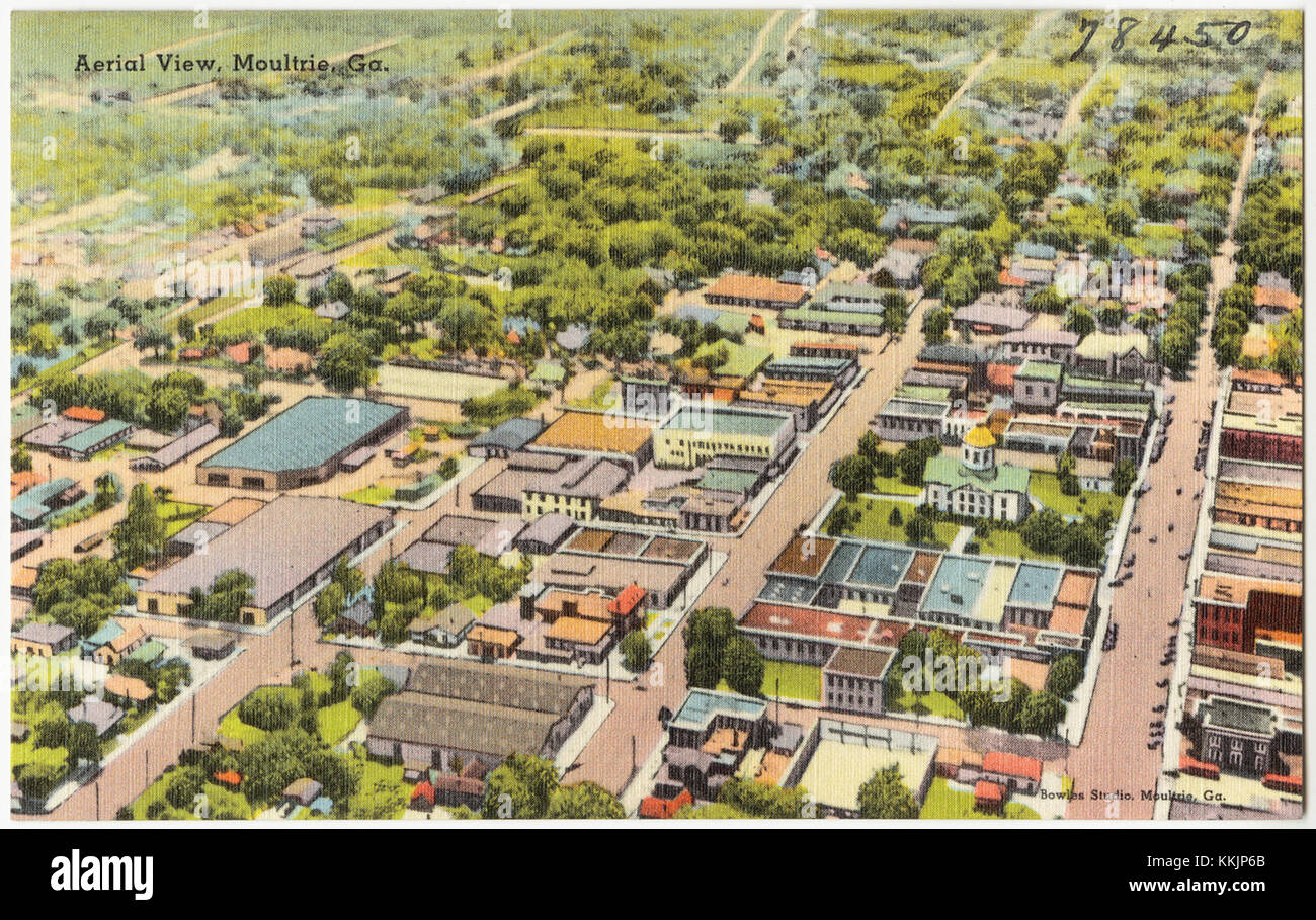 Una fotografia aerea di Moultrie, Georgia, cattura il layout della città, mostrando il suo paesaggio urbano e rurale. La vista offre una panoramica della struttura della città e dell'ambiente circostante. Foto Stock
