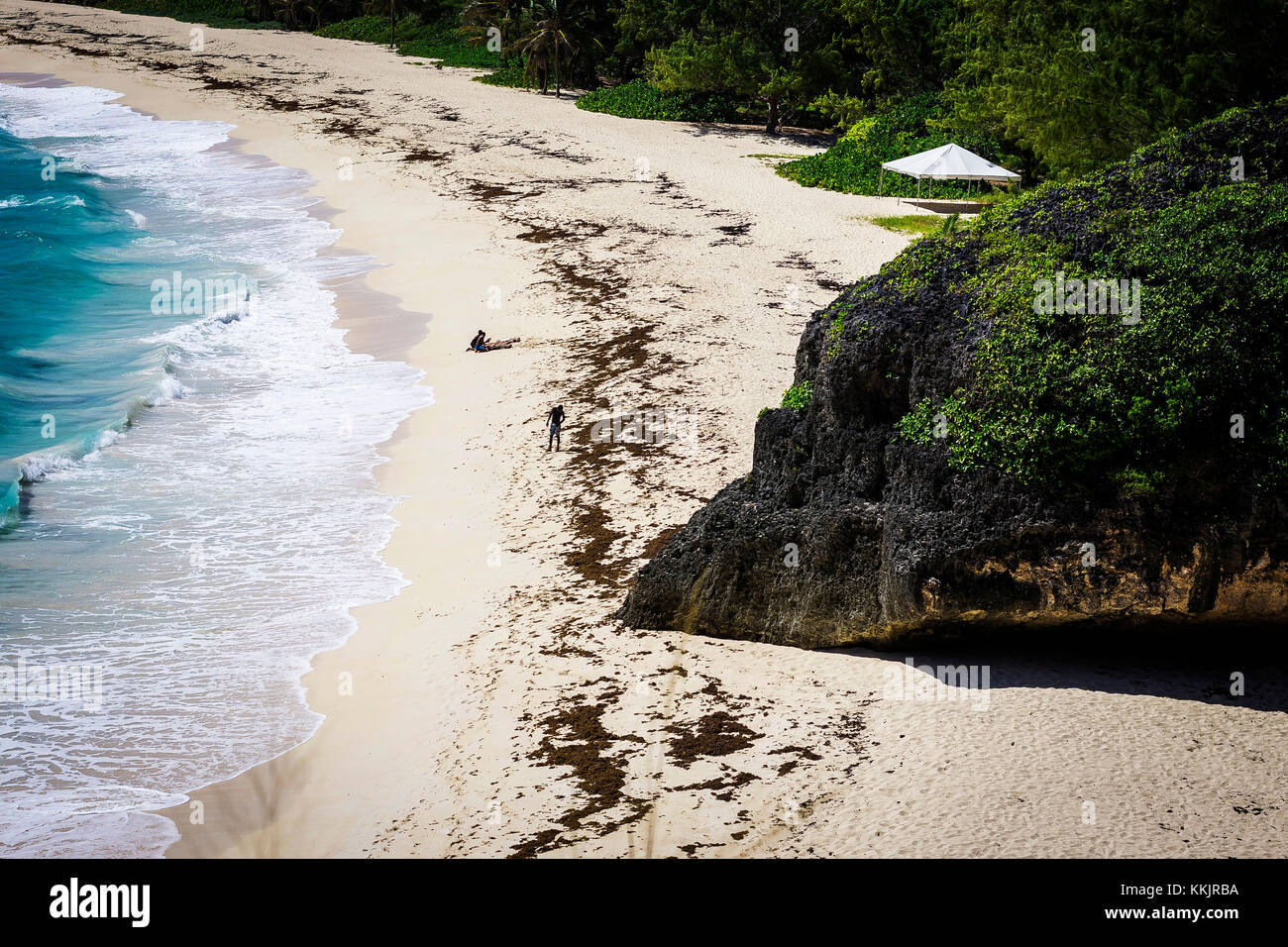 Fallo Bay Beach; fallo bay; st. Philip; Barbados Foto Stock