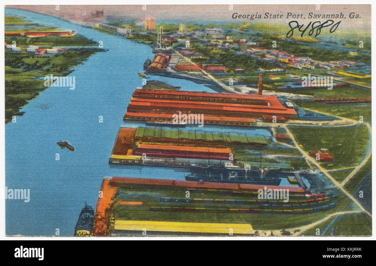 Il Georgia State Port di Savannah, Georgia, funge da importante struttura portuale per le operazioni di carico e di spedizione. Svolge un ruolo cruciale nell'economia e nelle rotte commerciali della regione. Foto Stock