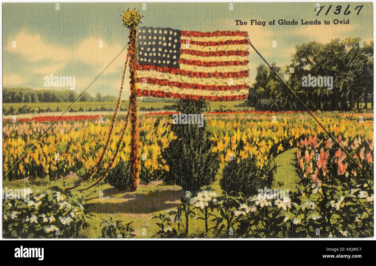 La bandiera di Glads segna il luogo del terzo Festival annuale dei gladioli a Ovidio, previsto per il 30 agosto 31 e il 1 settembre 1941. Questo evento mette in evidenza l'importanza culturale dei fiori nella comunità locale, con una mostra di fiori presso la Chiesa M. E. Foto Stock