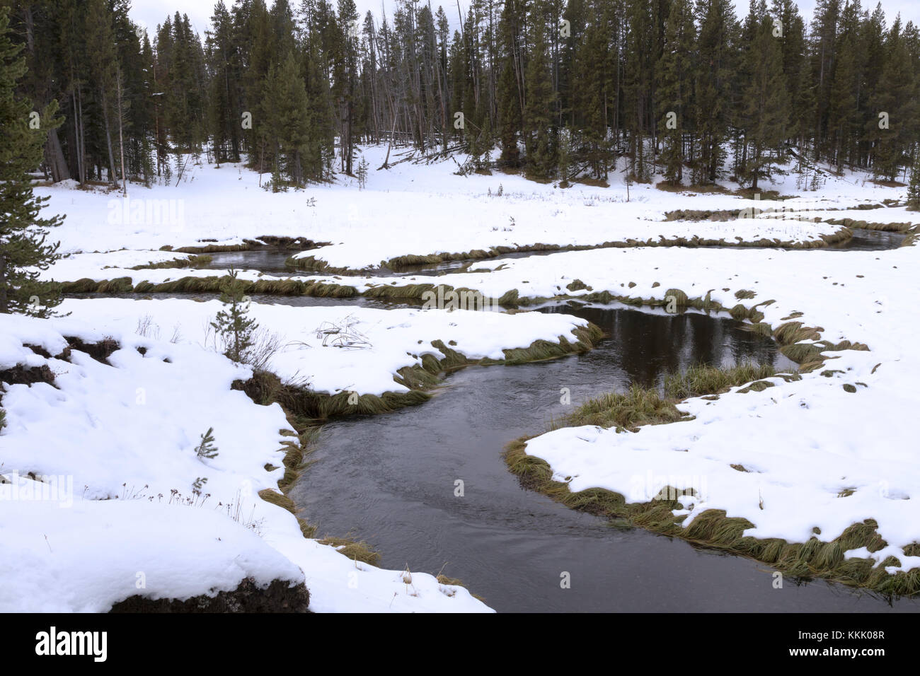 Avvolgimento del flusso attraverso il paesaggio innevato, il parco nazionale di Yellowstone Foto Stock