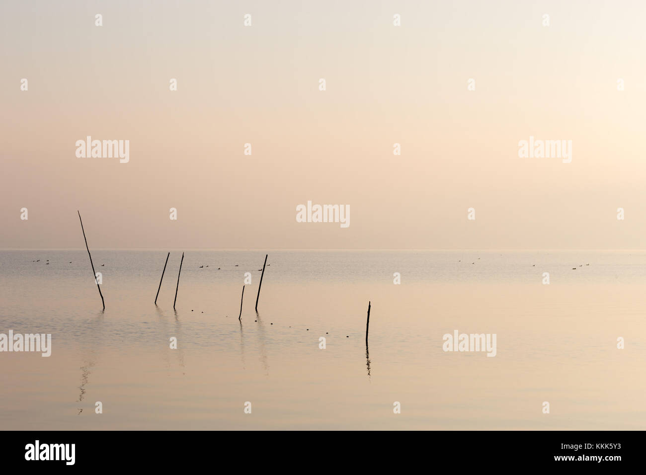 Un molto minimalista vista di un lago all'alba, con luce tenue e di toni, reti da pesca e pali in primo piano Foto Stock