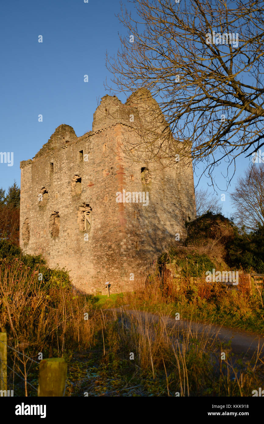 Le rovine del castello di Newark in Scottish Borders Foto Stock