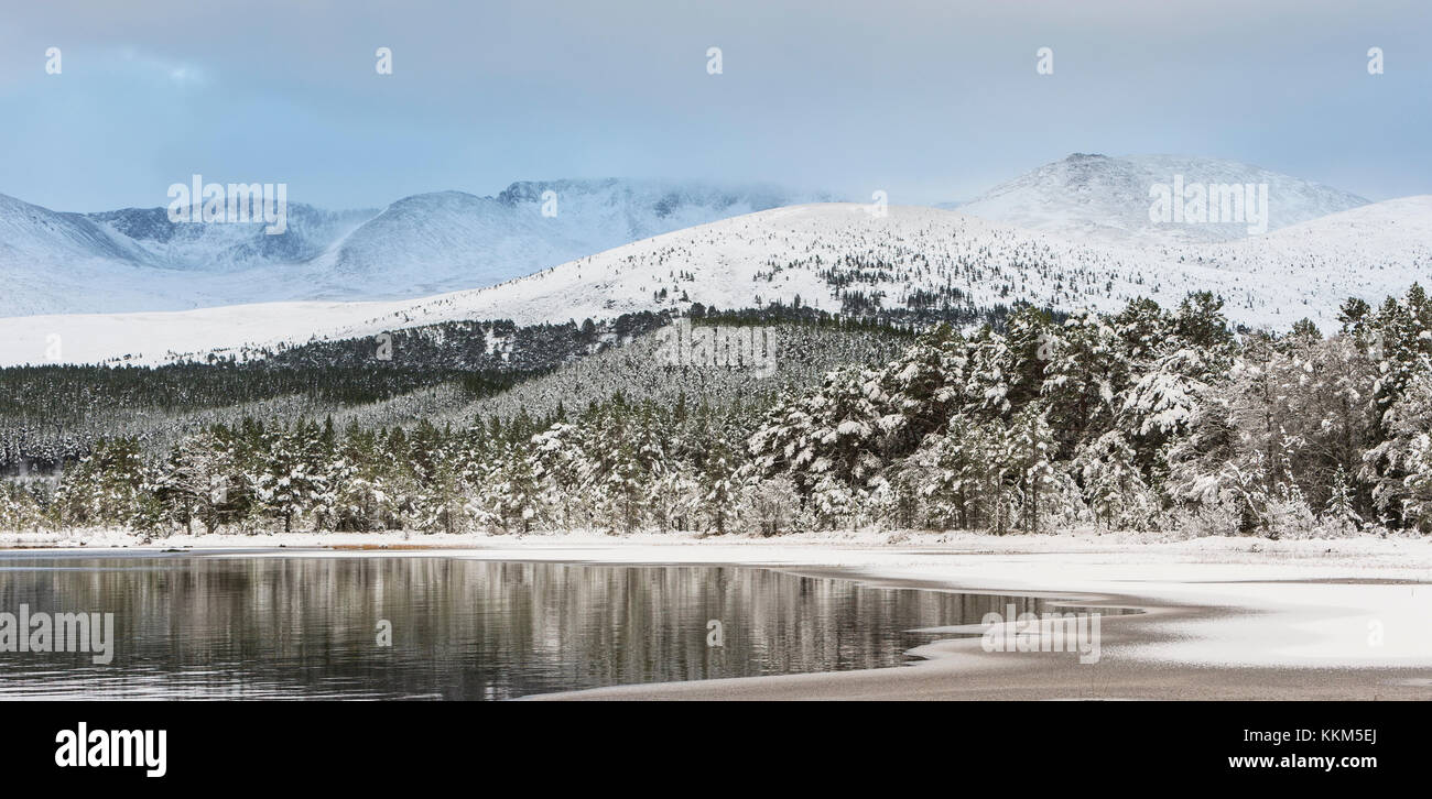 Inverno sul Loch Morlich nel Parco Nazionale di Cairngorms della Scozia. Foto Stock