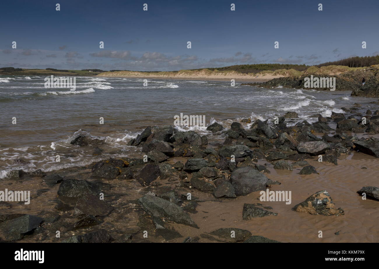 Traeth Penrhos, Penrhos beach - bella incontaminata spiaggia di sabbia - dal Newborough Warren, Anglesey. Foto Stock