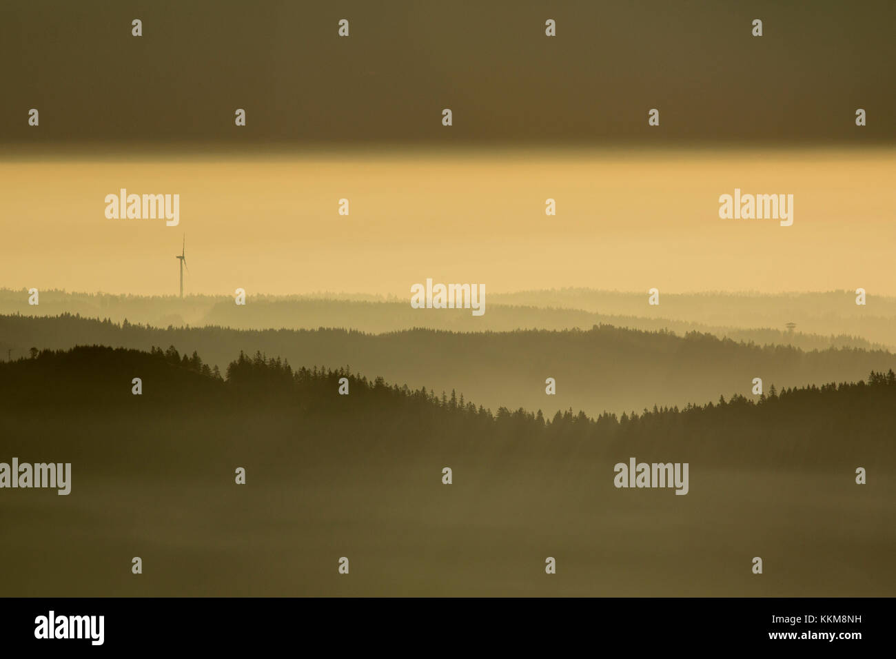 Vista panoramica al herzogenhorn presso sunrise, foresta nera, BADEN-WUERTTEMBERG, Germania Foto Stock