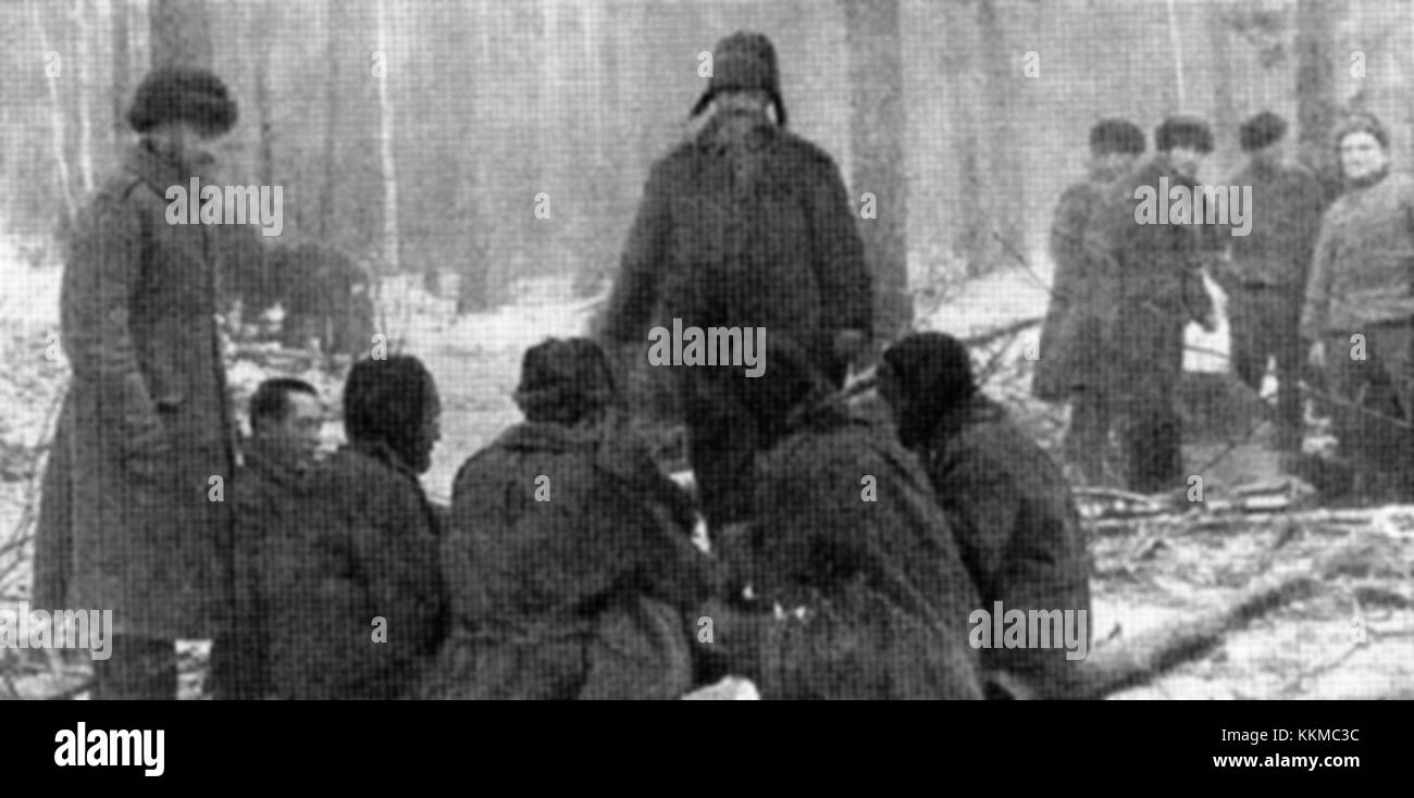 Questo documento storico, 'do polskiej armii', è un pezzo significativo della storia militare polacca, che riflette il coinvolgimento dell'esercito in un periodo chiave. Serve come riferimento importante per comprendere la storia militare della Polonia. Foto Stock