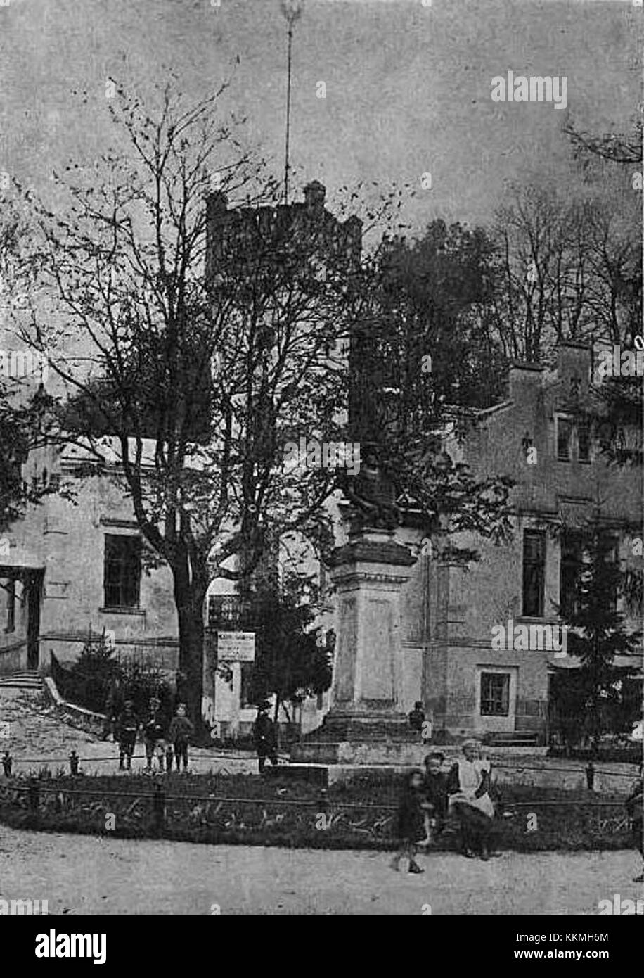 Questa immagine mostra un poligono di tiro a Leopoli, con un castello e un monumento al re Giovanni III Sobieski, eretto in onore della vittoria del re nella Battaglia di Vienna nel 1683. Il monumento è un importante punto di riferimento culturale e storico della regione. Foto Stock
