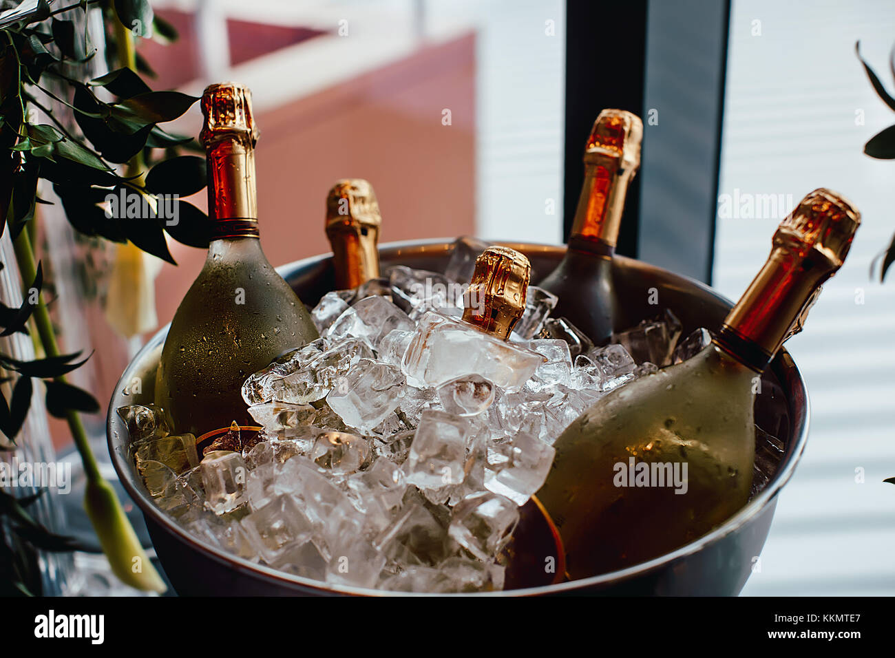 Cinque bottiglie di vino chill nel Secchiello per ghiaccio Foto Stock