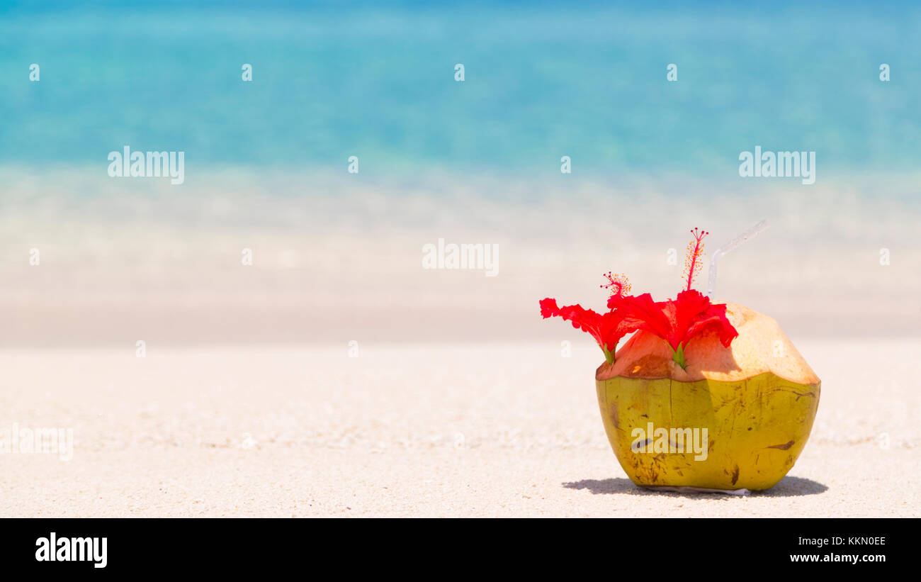 Il Cocco sulla riva delle Maldive. La cannuccia trasparente decorata con un bel fiore rosso. Foto Stock