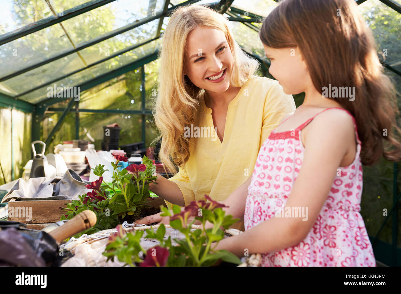 Madre e figlia piantare cesta appesa in serra Foto Stock