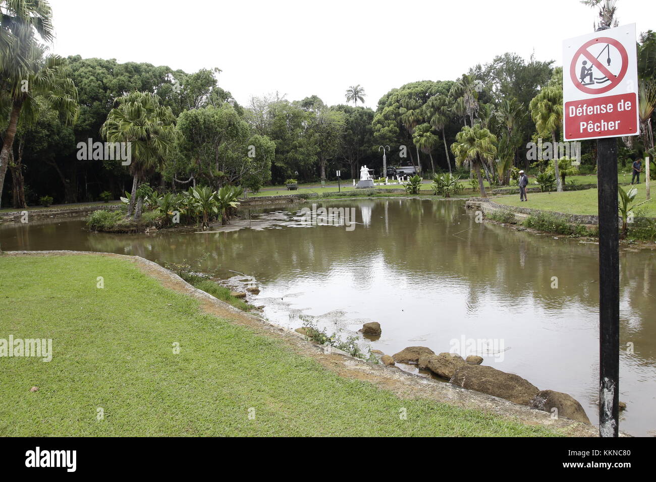 Un giardino botanico o Botanic Garden è un giardino dedicata alla collezione, la coltivazione e la visualizzazione di una vasta gamma di piante Foto Stock