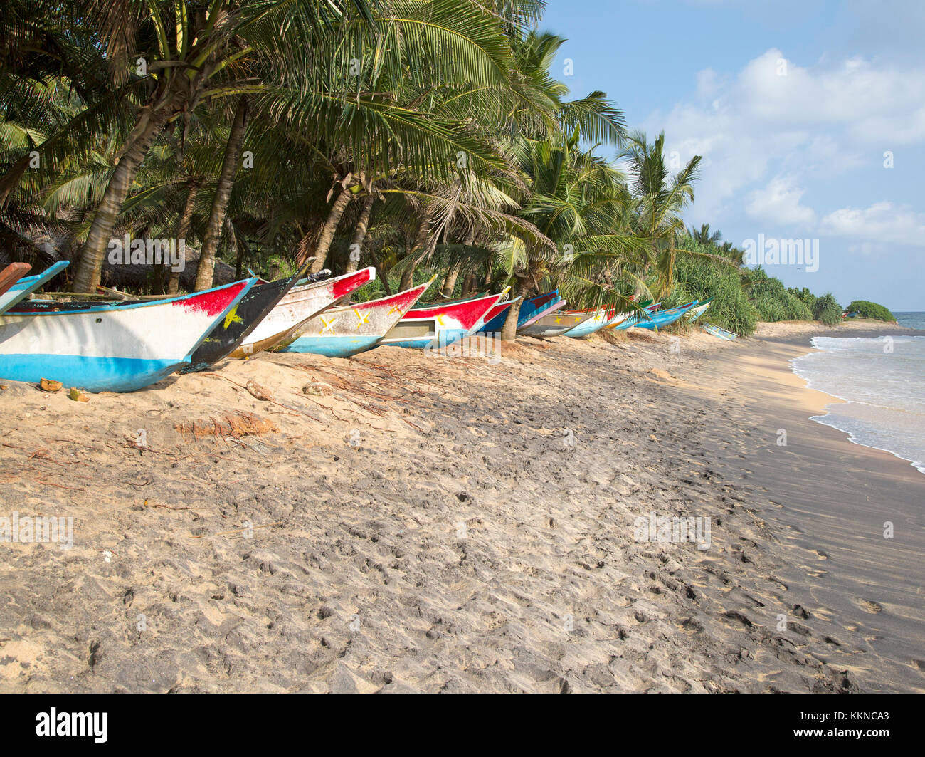 Dai colori vivaci canoe pesca sotto palme di cocco di spiaggia sabbiosa tropicale, Mirissa, Sri Lanka Foto Stock