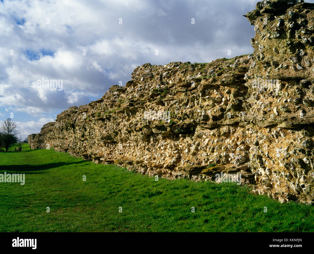 Silchester città romana pareti, Hampshire: vista SW lungo la parte esterna della parete se il cui nucleo di selce e mortaio con pietra corsi di livellamento è stato esposto. Foto Stock