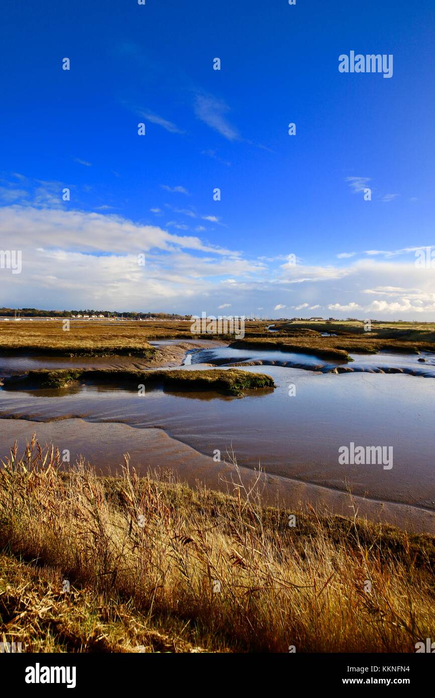 Riverbed fangoso a bassa marea. Fiume Deben, Felixstowe Ferry, Suffolk, Regno Unito. Foto Stock