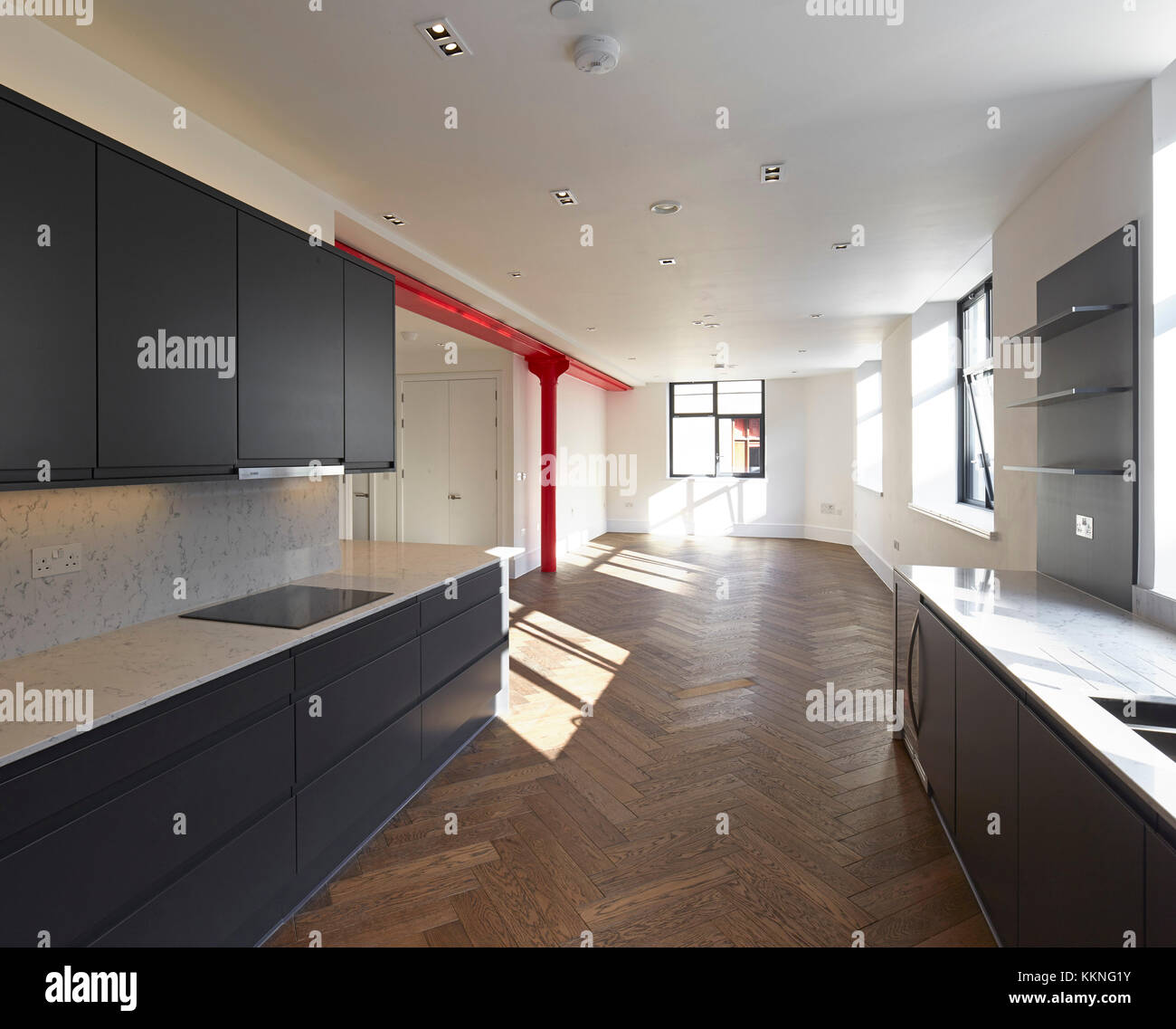 Interno dell appartamento - cucina. 19 Queen Elizabeth Street, Londra, Regno Unito. Architetto: Burwell Deakins architetti, 2016. Foto Stock