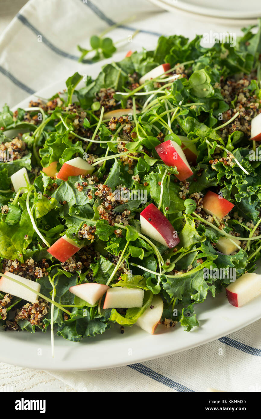 Materie organiche sani kale e apple con insalata di quinoa e condimento Foto Stock