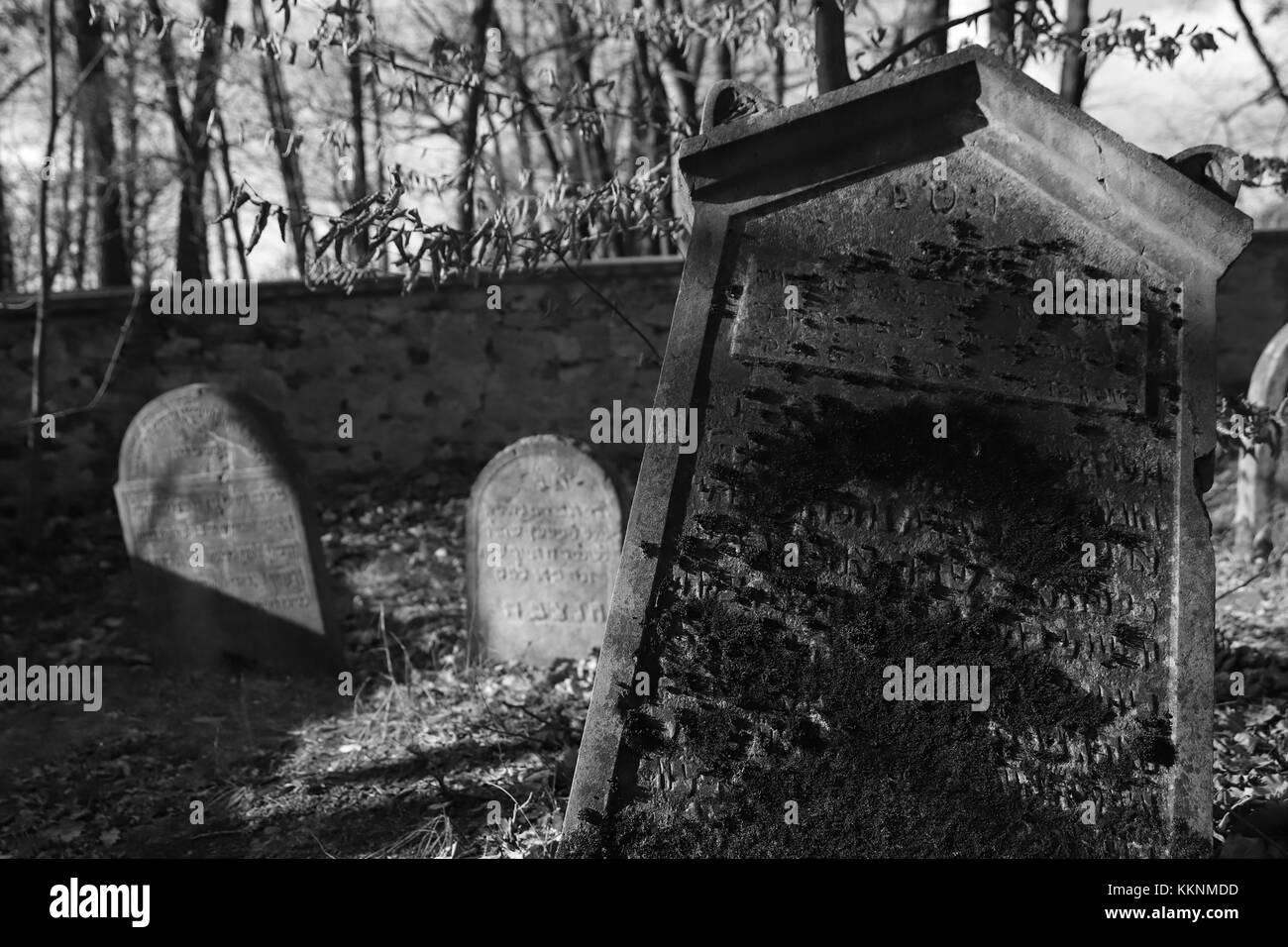 Vecchio Cimitero Ebraico Foto Stock