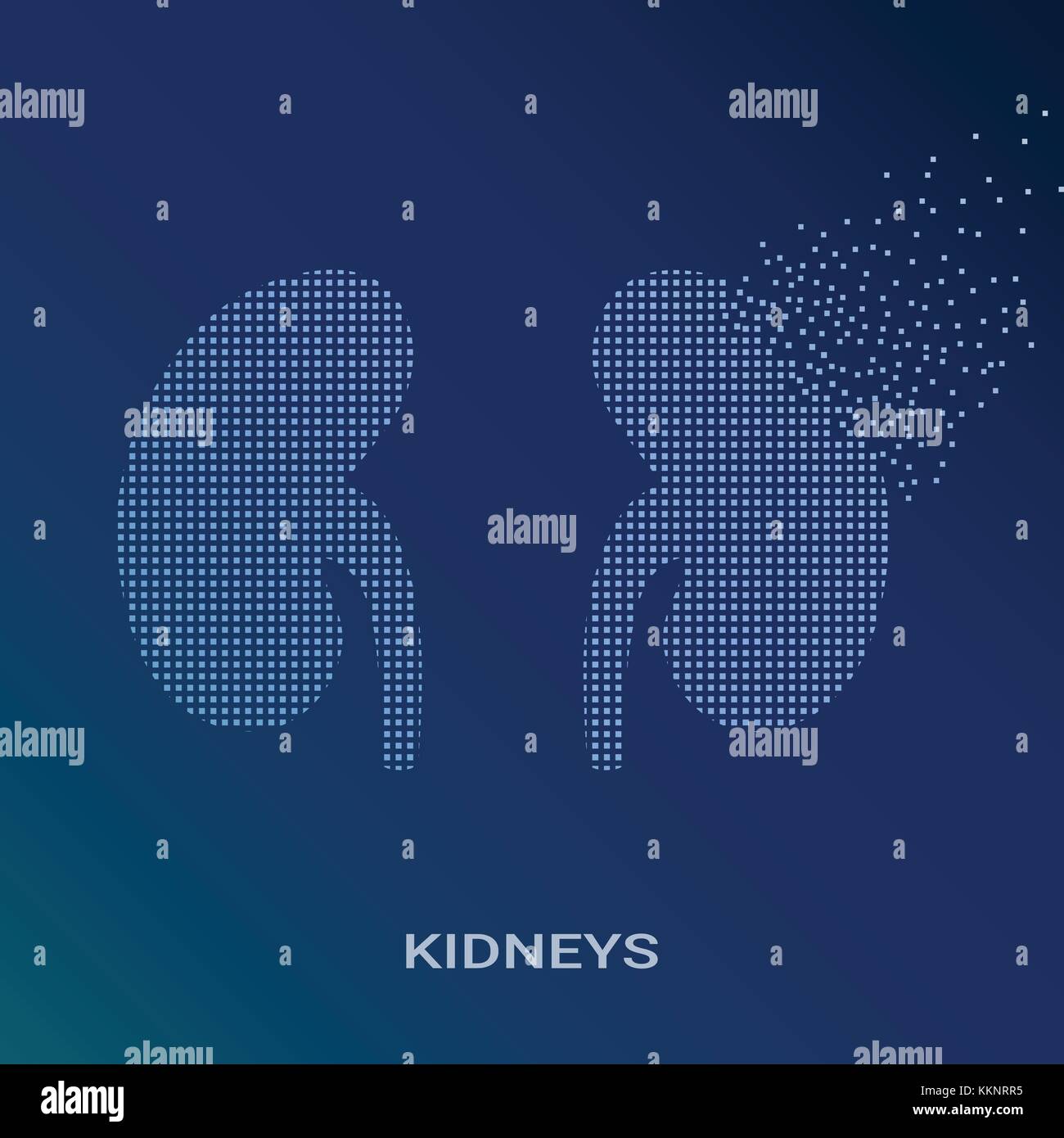 Abstract illustrazione vettoriale di reni umani su sfondo blu. pixel art logo di nefrologia e urologia. logotipo vettoriale illustrazione. creativi concetto medico Illustrazione Vettoriale