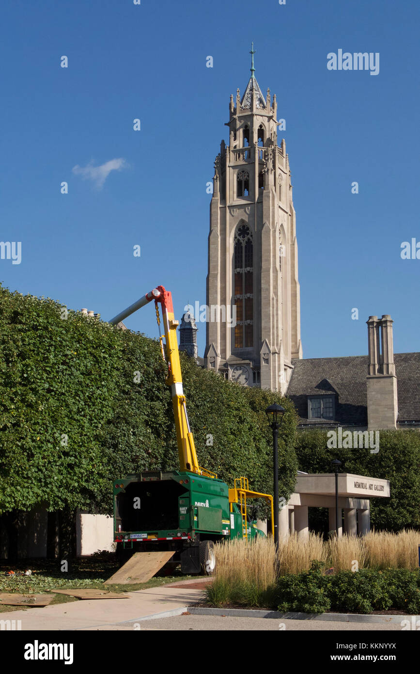 Rochester memorial galleria d'arte e cutler unione torre. Foto Stock