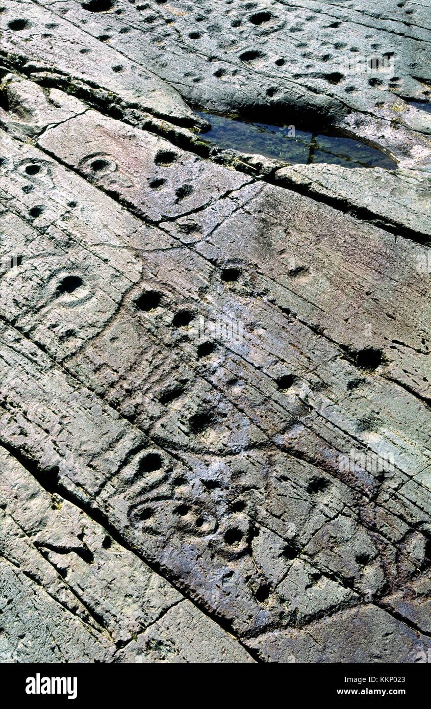 Coppa di epoca preistorica e tacca di pietra scolpita arte rock affioramento presso kilmichael glassary, kilmartin valley, Argyll, Scozia occidentale, Regno Unito Foto Stock