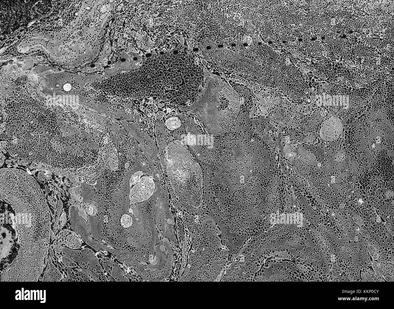 In bianco e nero Sfondo marmo Foto Stock