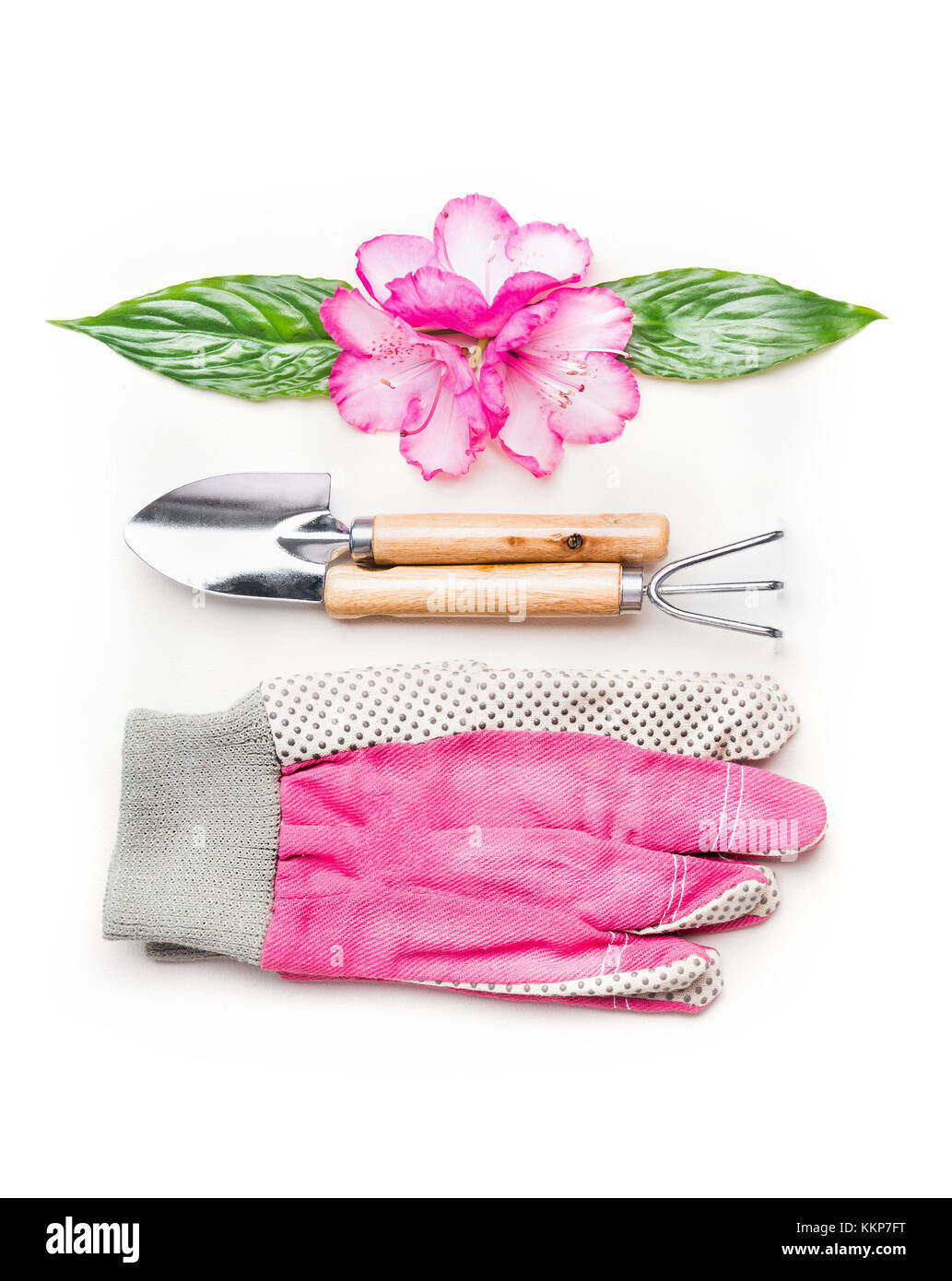 Bella impostazione di giardinaggio con strumenti e fiori di colore rosa su sfondo bianco, vista dall'alto Foto Stock