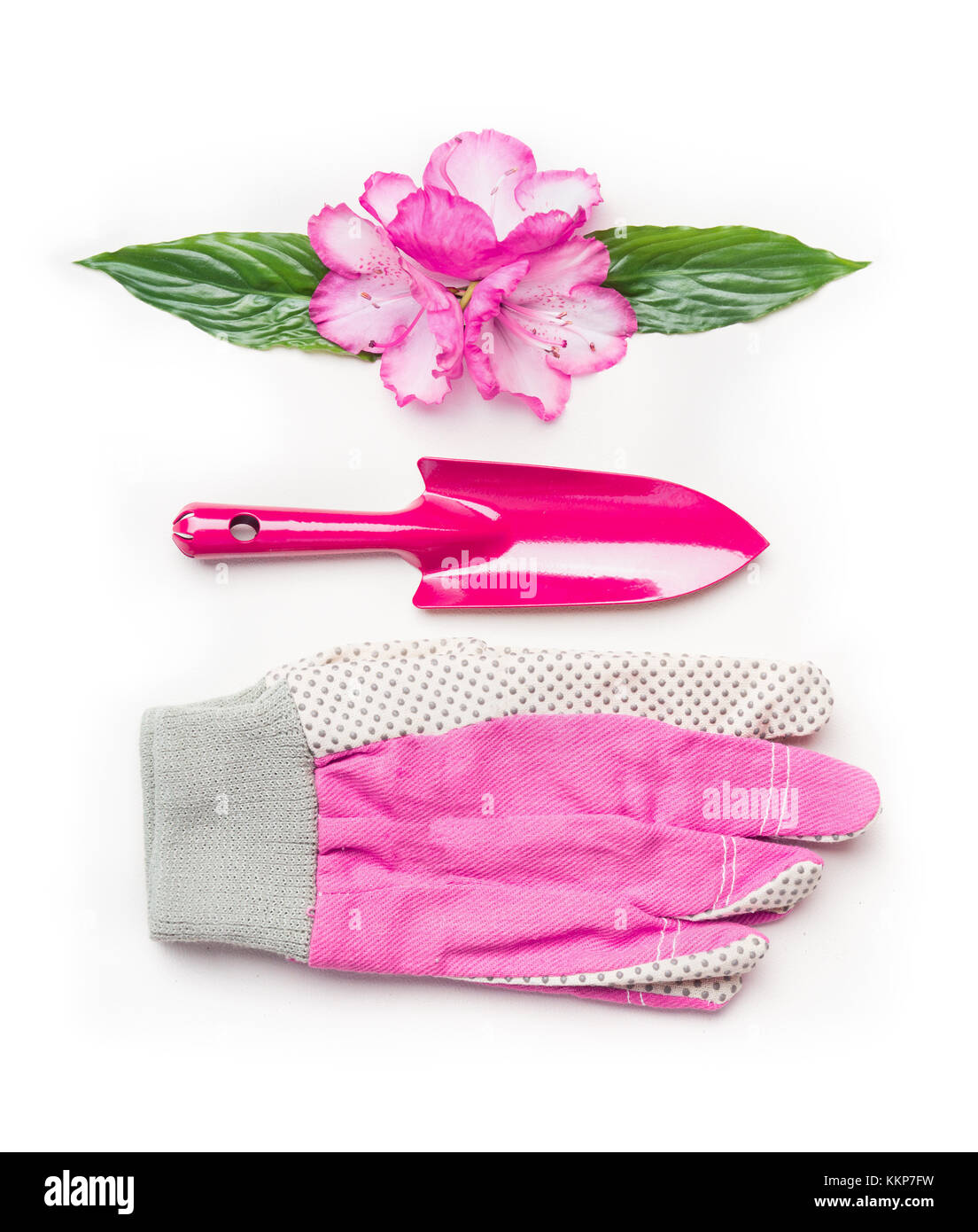 Rosa impostazione di giardinaggio con fiori, gli strumenti e i guanti su sfondo bianco, vista dall'alto Foto Stock