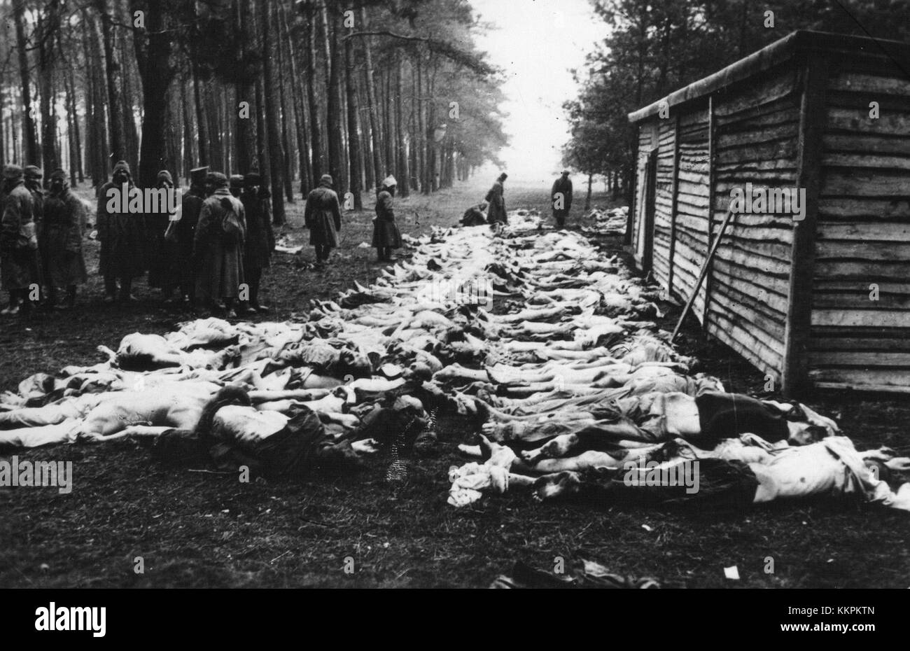 Pobiti sloveni s strani italijanskih okupatorjev si traduce in "sloveni uccisi dagli occupanti italiani". Questo titolo si riferisce probabilmente a un evento storico durante la seconda guerra mondiale, quando gli sloveni furono vittime dell'occupazione italiana. Foto Stock