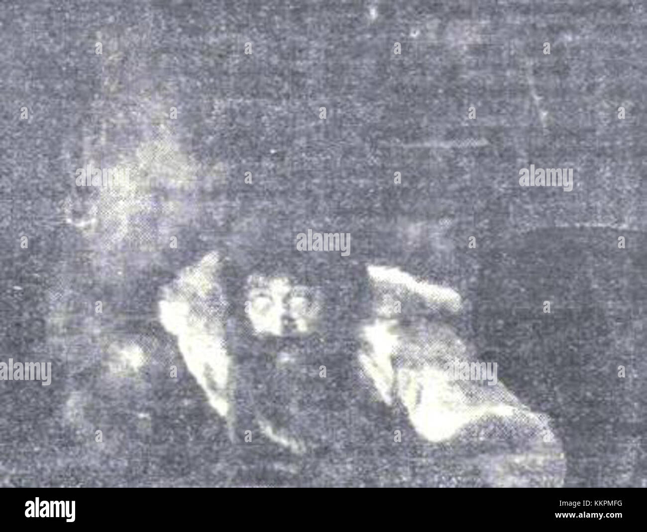 "Beduino" è probabilmente un nome o un riferimento adeguato che richiede un contesto ulteriore per offrire una descrizione o un'interpretazione significativa. Foto Stock