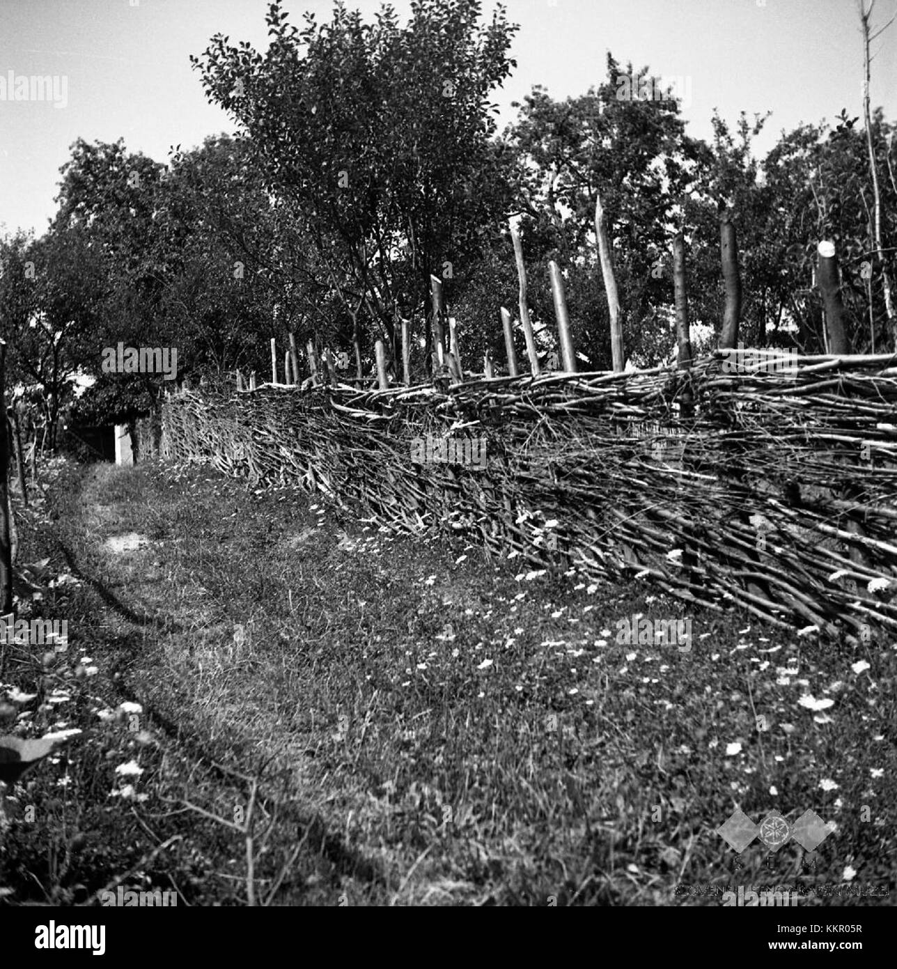 L'immagine raffigura una trama tradizionale di ramoscello di castagno a Jablance, scattata nel 1956. Questo mostra l'artigianato locale e le pratiche agricole della regione in quel momento. Foto Stock