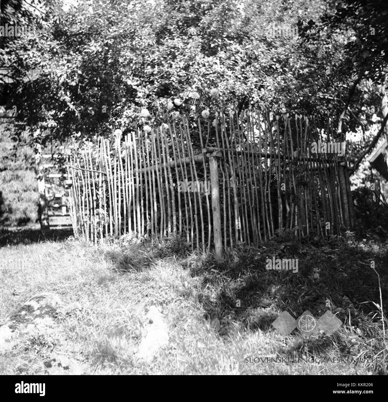 "Greda, male Lipljene 1948" si traduce in "Greda, male Lipljene 1948". È necessario un ulteriore contesto per fornire una descrizione dettagliata. Foto Stock