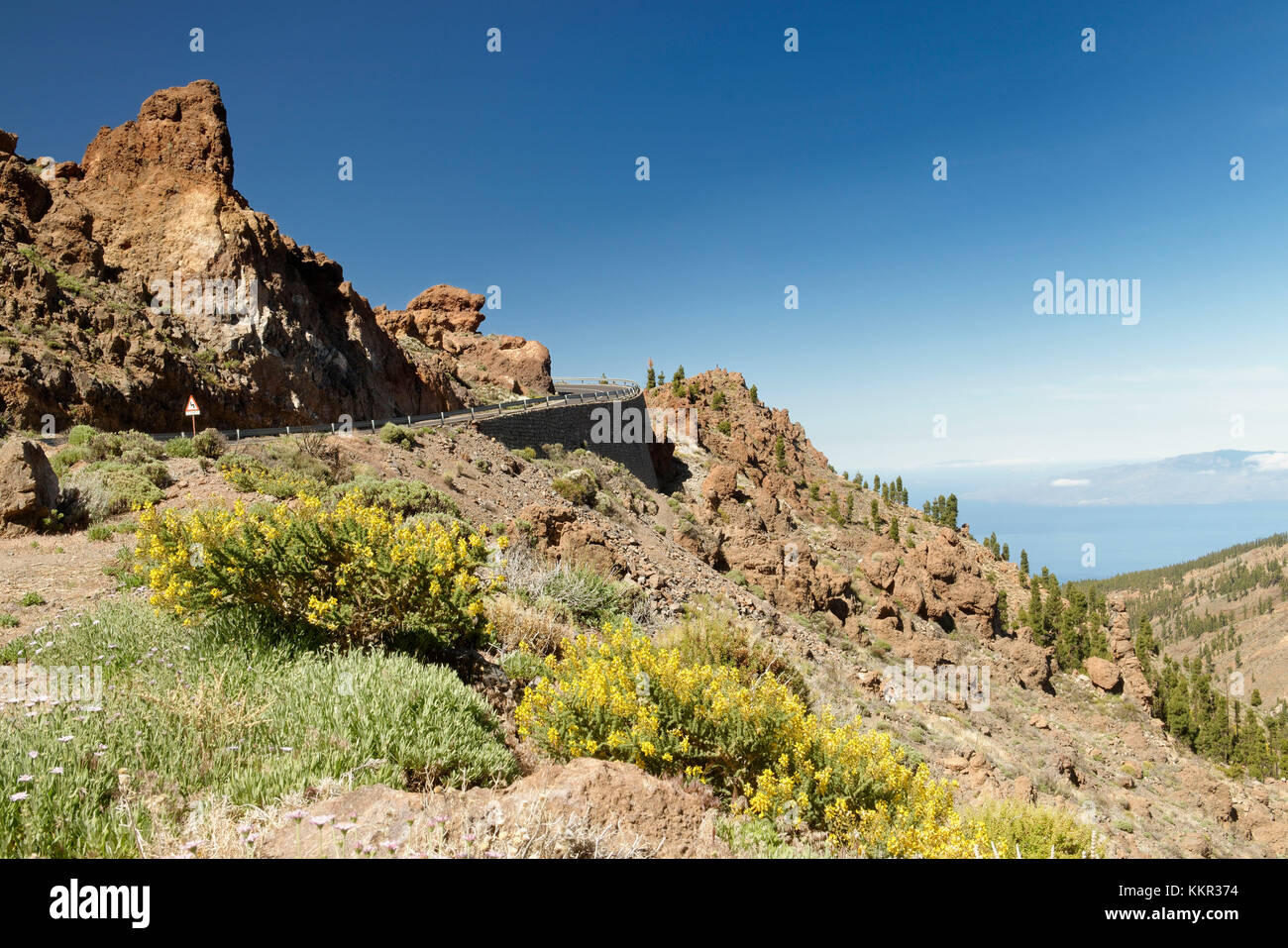 Parco nazionale di El Teide, caldera de Las Canadas, Tenerife, Isole canarie, Spagna Foto Stock