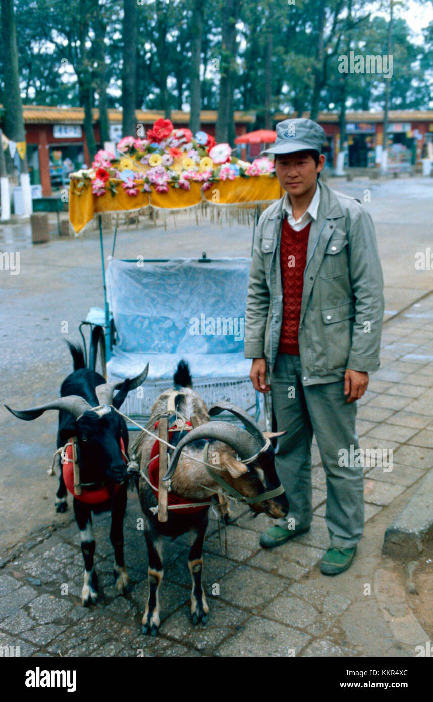 Uomo in Kunming offre capra cavalcare carrello,Cina Foto Stock