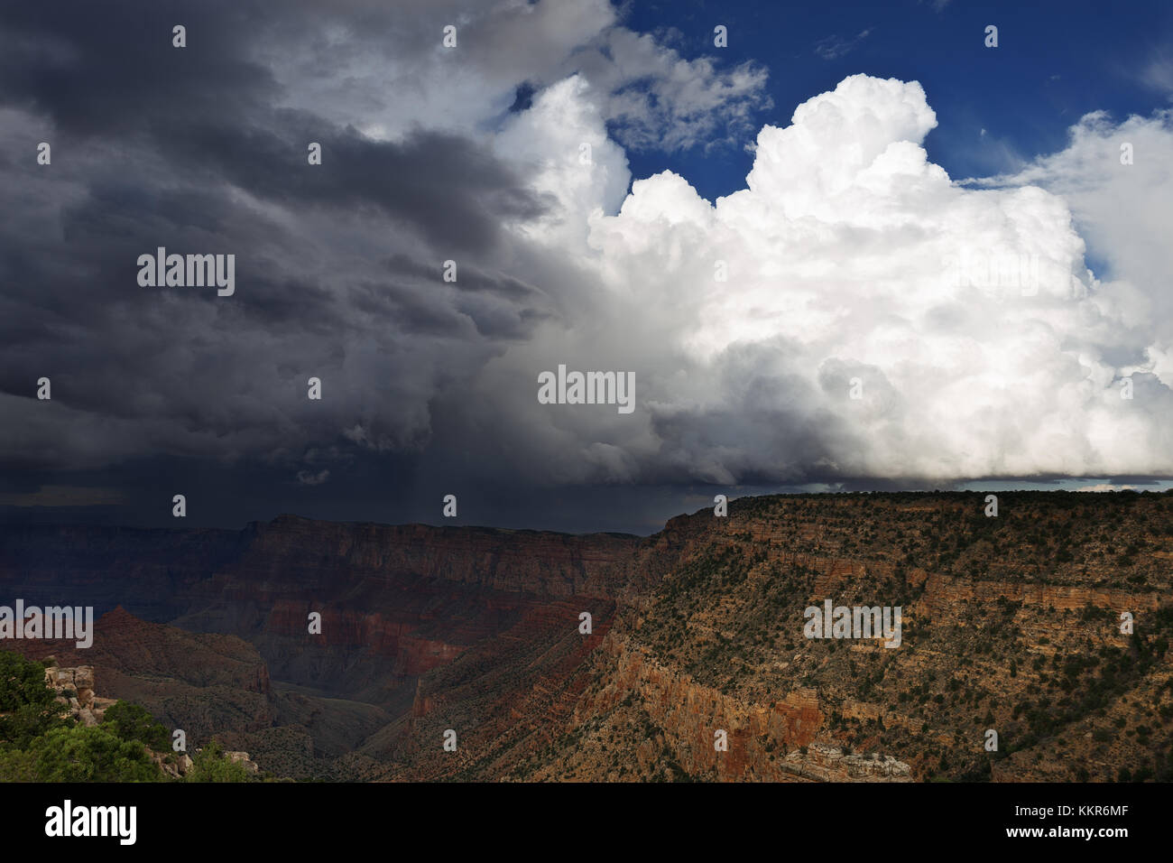 Una nube di cumulonimbus di temporale estiva si sviluppa sopra la torre di avvistamento del deserto al Grand Canyon National Park, Arizona Foto Stock