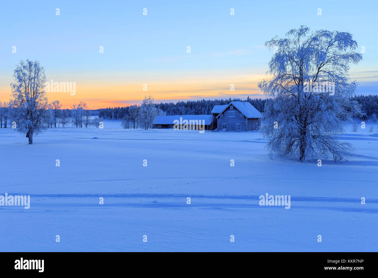 Casa isolata nella taiga sconfinato al confine tra la Svezia e la Finlandia. Hukanmaa/Kitkiojoki, Norbottens Ian, Lapponia, Svezia,l'Europa Foto Stock