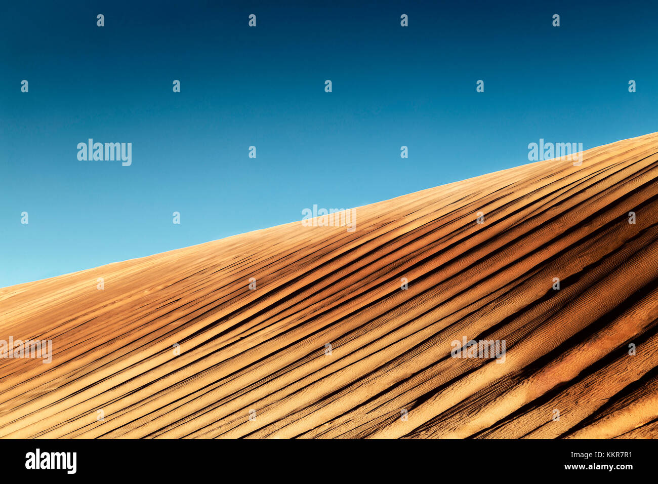 Il Wadi Rum, South Jordan, Giordania, Medio Oriente e Asia Foto Stock