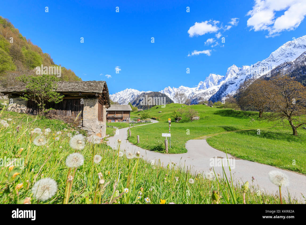 Capanne nella verde valle incorniciato da vette innevate Soglio Maloja cantone dei Grigioni Engadin Val Bregaglia Svizzera Europa Foto Stock