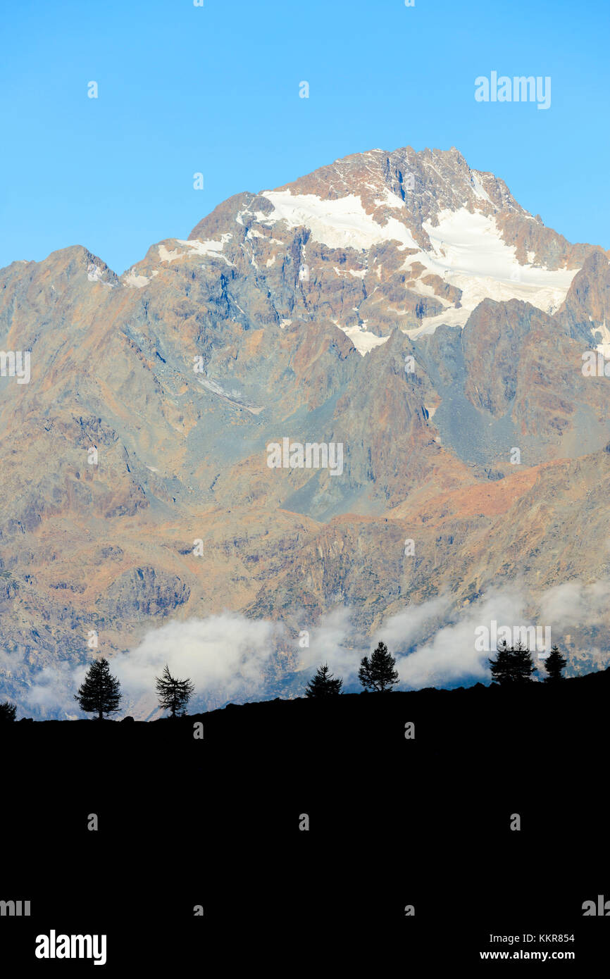 Il picco roccioso del monte disgrazia visto da campagneda valle malenco Lombardia in provincia di Sondrio valtellina Italia Europa Foto Stock