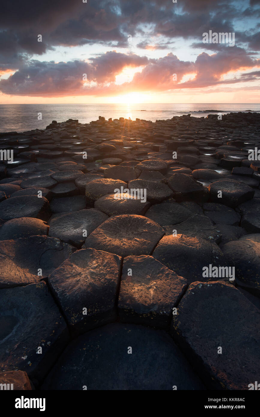 Giant's Causeway, County Antrim, Ulster regione, Irlanda del Nord, Regno Unito. Iconici di colonne di basalto. Foto Stock