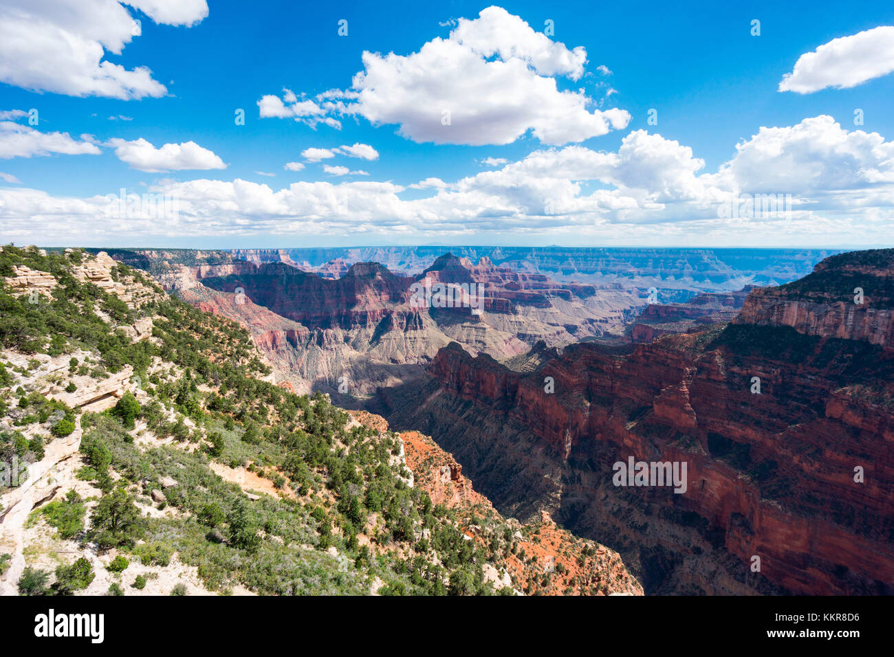 Grand Canyon North Rim, Bright Angel point, Arizona, Stati Uniti d'America Foto Stock