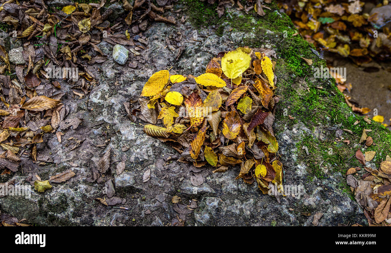 Un cuore formato fuori di foglie vicino al schlichemklamm cascate vicino al villaggio epfendorf nella foresta nera, lokally noto come schwarzwald Foto Stock